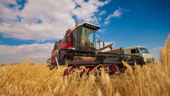 Фотография к новости: "Ауыл аманаты". Абай облысында 538 жаңа жұмыс орны құрылады