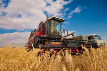 Фотография к новости: "Ауыл аманаты". Абай облысында 538 жаңа жұмыс орны құрылады