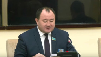 Фотография к новости: Депутат шетелден жоғары білікті мамандарды тарту үшін жағдай жасауға шақырды