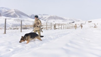 Фотография к новости: 24 шетел азаматы шекараны бұзған – ҰҚК