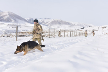 Фотография к новости: 24 шетел азаматы шекараны бұзған – ҰҚК