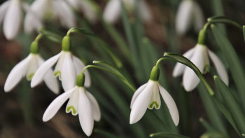 Фотография к новости: Көктемнің алғашқы күндері ауа райы қандай болады