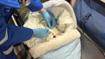 Фотография к новости: Қарағандыда аязды күні даладан табылған сәби анасына берілуі мүмкін