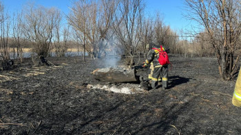 Фотография к новости: Каспий жағалауындағы өрт: 1000 га қамыс өртенді
