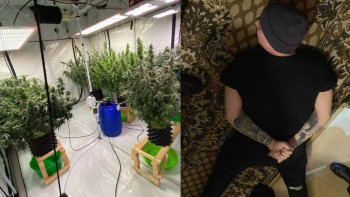 Фотография к новости: Қостанайда полицейлер қарасора өсіретін фитозертхананы анықтады