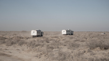 Фотография к новости: 150 мың төлеп, Арал теңізінің құрғаған жеріне сексеуіл салғандар кім?