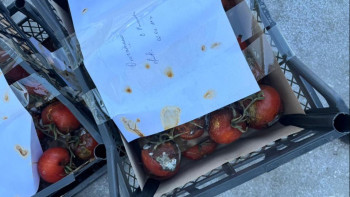 Фотография к новости: Қызанақтардан вирус анықталды