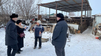 Фотография к новости: Ұлытау облысында мал санын азайтып көрсету деректері анықталды