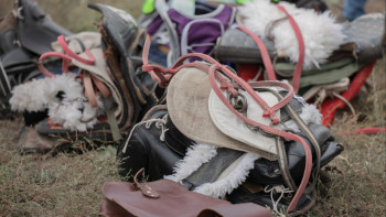Фотография к новости: Елордада қыздар арасында ат спортынан ашық біріншілік өтеді