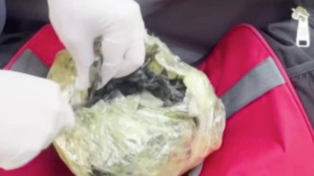 Фотография к новости: Полиция такси жолаушысынан құны 30 млн теңге "синтетика" тәркіледі