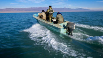 Фотография к новости: Полицейлер табиғат қорғау заңнамасын бұзудың 4 мыңнан астам дерегін анықтады