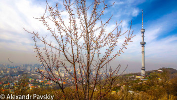 Фотография к новости: ТЖМ: Алматыда жағдай тұрақты