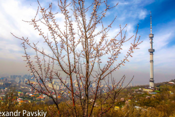 ТЖМ: Алматыда жағдай тұрақты