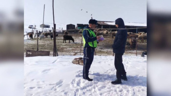 Фотография к новости: Алматы маңында жүк пойызы жылқыны қағып кетті