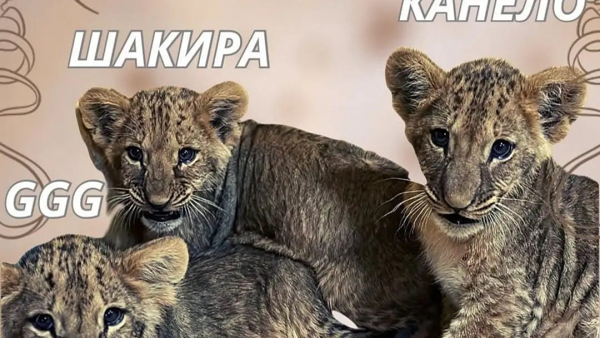  Шымкент зообағы