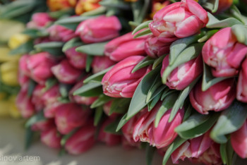 Фотография к новости: 8 наурызға орай ел бойынша мерекелік іс-шаралар өтеді