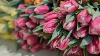 Фотография к новости: Әйелмен әлем әдемі