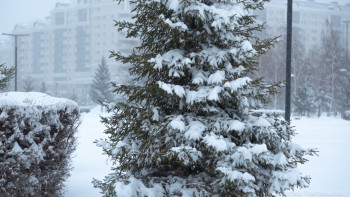Фотография к новости: Жаңбыр, қар, тұман: 8 наурызға арналған ауа райы болжамы
