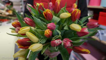 Фотография к новости: 8 наурыз – Халықаралық әйелдер күні