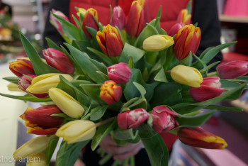 8 наурыз – Халықаралық әйелдер күні