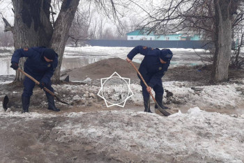 Фотография к новости: Жетісу облысында 19 ауланы су басты