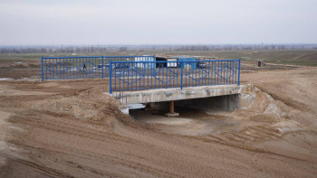 Фотография к новости: Жамбыл облысында 655 шақырымнан аса канал жөнделеді