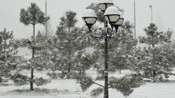 Фотография к новости: Фоторепортаж: Көктем келе салысымен Алматыда қар жауды