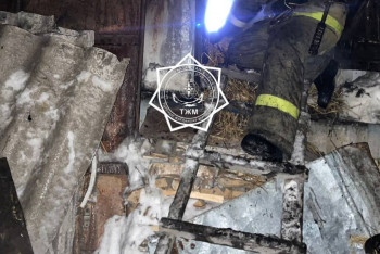 Фотография к новости: Атбасарда өрт сөндірушілер өрт ошағынан 4 тұрмыстық газ баллонын шығарды