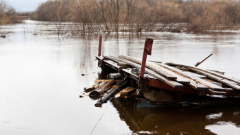 Фотография к новости: Елімізде қанша елді мекенді су басуы мүмкін – ТЖМ жауап берді
