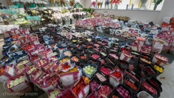 Фотография к новости: Елге гүлдер қай елден келеді