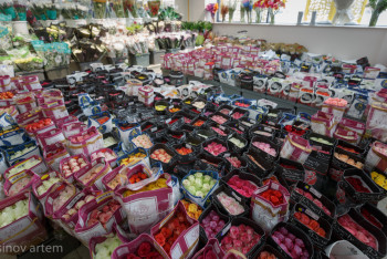 Фотография к новости: Елге гүлдер қай елден келеді