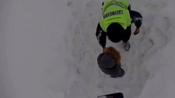 Фотография к новости: Астанада адасып кеткен 8 жасар бала "SOS" дабыл түймесіне жүгінген