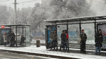 Фотография к новости: Алматыда 22 жол-көлік оқиғасы тіркелді