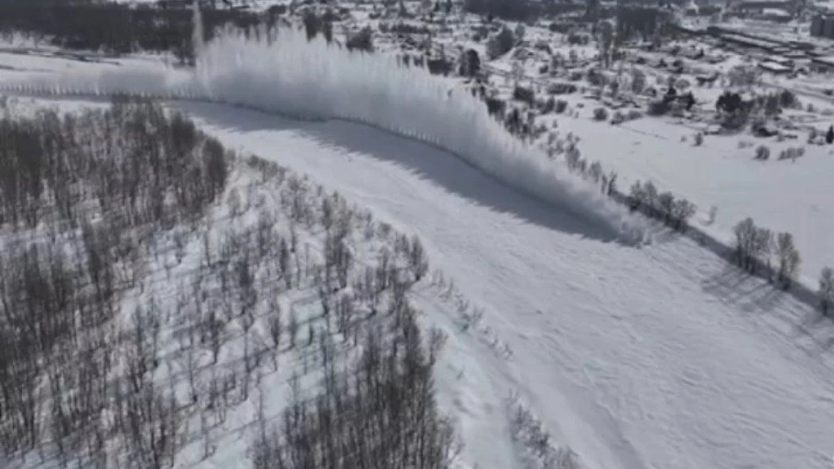  видеодан кадр