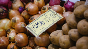 Фотография к новости: Елімізде пияз өнімі күрт төмендеуі мүмкін