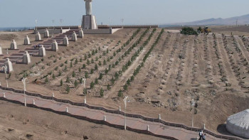 Фотография к новости: Таразда көгалдандыру жұмыстары қарқын алды