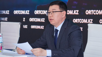 Фотография к новости: Қазақстанда кәсіби қабылдаушы отбасы институтын енгізу ұсынылды