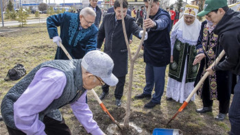 Фотография к новости: Жаңару күнінде Жетісу облысында 2500-ге жуық ағаш отырғызылды