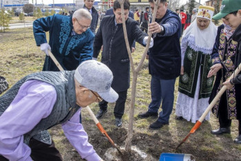 Фотография к новости: Жаңару күнінде Жетісу облысында 2500-ге жуық ағаш отырғызылды