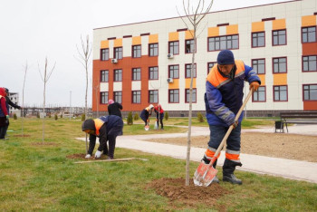 Фотография к новости: Жаңару күні аясында бүкіл ел бойынша 500-ден астам іс-шара өтеді