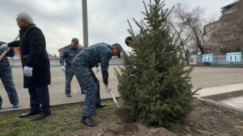 Фотография к новости: Жетісу полицейлері ағаш отырғызды