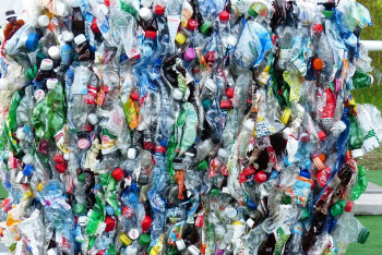 Фотография к новости: Жетісуға қатты қалдықтарды өндейтін зауыт қажет