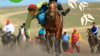 Фотография к новости: 20 наурыз – Ұлттық спорт күні