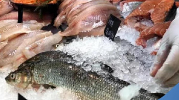 Фотография к новости: Премьер-министр шикізатты қайта өңдеуді ұлғайту қажеттігін айтты