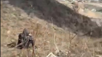 Фотография к новости: Алматы тауларында жоғалған екі турист табылды