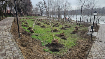 Фотография к новости: Алматыда 1500-ден аса адам «Тазару» жалпыұлттық эко-акциясына қатысты