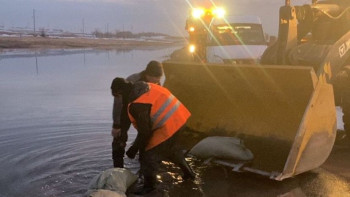Фотография к новости: "Қарағанды-Аягөз-Тарбағатай-Бұғаз" автожолында су тасқыны болды