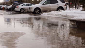 Фотография к новости: Жаңбыр, көктайғақ: 26 наурызға арналған ауа райы болжамы
