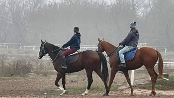 Фотография к новости: Алматы ипподромы мемлекет меншігіне қайтарылуы мүмкін бе