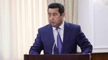 Фотография к новости: "Ұлытауда 360 бас жылқы қырылған". Министр кімдер кінәлі екенін айтты